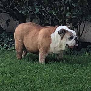 Meet your Posher, Christian